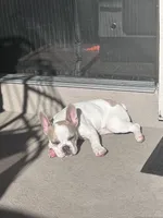 processed/be9c1491-3c99-471e-9648-1c445a85236c/listing/b5b76129-270a-424c-93a7-d2fd633e06e6/72ec429f-190e-43d6-9f4f-0a68bad61efc