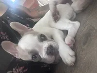 processed/be9c1491-3c99-471e-9648-1c445a85236c/listing/b5b76129-270a-424c-93a7-d2fd633e06e6/df97a27c-d59c-429a-b9dd-6dafe874d02c