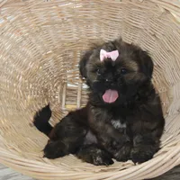 processed/bea8ccef-5e33-4ba5-bd4d-5223c98619e6/facility/43af222d-a81c-490a-9af8-e3837d415d53