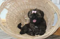 processed/bea8ccef-5e33-4ba5-bd4d-5223c98619e6/facility/43af222d-a81c-490a-9af8-e3837d415d53