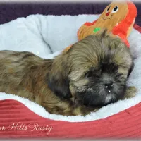 processed/bea8ccef-5e33-4ba5-bd4d-5223c98619e6/facility/45570c98-37f7-4a93-90a3-6663ddb8d499