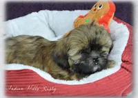 processed/bea8ccef-5e33-4ba5-bd4d-5223c98619e6/facility/45570c98-37f7-4a93-90a3-6663ddb8d499