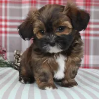 processed/bea8ccef-5e33-4ba5-bd4d-5223c98619e6/facility/50bfc09e-082b-4d46-8dcc-5b7a10803ffe