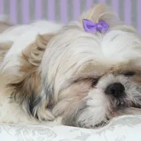 processed/bea8ccef-5e33-4ba5-bd4d-5223c98619e6/facility/5cfa6182-dcff-42f2-906e-d7b014641e28