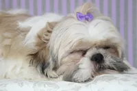 processed/bea8ccef-5e33-4ba5-bd4d-5223c98619e6/facility/5cfa6182-dcff-42f2-906e-d7b014641e28