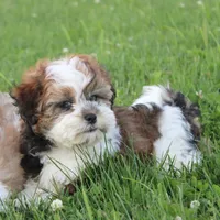 processed/bea8ccef-5e33-4ba5-bd4d-5223c98619e6/facility/be56cbc5-69fa-464e-9879-62c530f2e2af