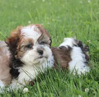 processed/bea8ccef-5e33-4ba5-bd4d-5223c98619e6/facility/be56cbc5-69fa-464e-9879-62c530f2e2af