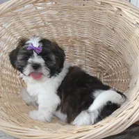 processed/bea8ccef-5e33-4ba5-bd4d-5223c98619e6/facility/c999fe12-6ae1-4fa4-8323-e371d2afbbd9