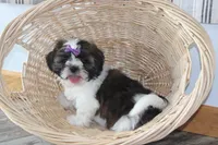 processed/bea8ccef-5e33-4ba5-bd4d-5223c98619e6/facility/c999fe12-6ae1-4fa4-8323-e371d2afbbd9