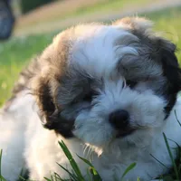 processed/bea8ccef-5e33-4ba5-bd4d-5223c98619e6/facility/d956b555-abbe-40dd-a601-8be6870621bb