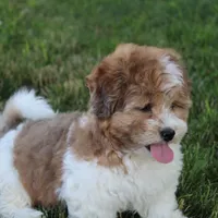 processed/bea8ccef-5e33-4ba5-bd4d-5223c98619e6/facility/fd8ef569-2649-4f4a-a173-e3a1de5b6d0c