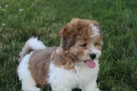 processed/bea8ccef-5e33-4ba5-bd4d-5223c98619e6/facility/fd8ef569-2649-4f4a-a173-e3a1de5b6d0c