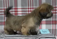 processed/bea8ccef-5e33-4ba5-bd4d-5223c98619e6/listing/1de8a069-d777-4c66-b38b-3e317d1365ec/110b5930-529d-4270-b769-784213e939f4