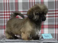 processed/bea8ccef-5e33-4ba5-bd4d-5223c98619e6/listing/1de8a069-d777-4c66-b38b-3e317d1365ec/4f797465-ebc6-4ead-83c8-4c4ab103bff8