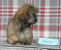 processed/bea8ccef-5e33-4ba5-bd4d-5223c98619e6/listing/1de8a069-d777-4c66-b38b-3e317d1365ec/5e3c3679-e27a-48dc-92c7-cbc8cc59b52a