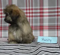 processed/bea8ccef-5e33-4ba5-bd4d-5223c98619e6/listing/1de8a069-d777-4c66-b38b-3e317d1365ec/97f17860-873a-4697-8298-6b1d57585d67