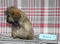 processed/bea8ccef-5e33-4ba5-bd4d-5223c98619e6/listing/1de8a069-d777-4c66-b38b-3e317d1365ec/e2e4f1d0-25f2-45e5-aabe-9606a9cfff40