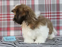 processed/bea8ccef-5e33-4ba5-bd4d-5223c98619e6/listing/9ac46df9-b841-4e6c-9c48-976221192ade/2630a994-c82f-4f84-aa0a-6f9615cdaff1