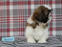 processed/bea8ccef-5e33-4ba5-bd4d-5223c98619e6/listing/9ac46df9-b841-4e6c-9c48-976221192ade/4edd1c2c-8417-4dd2-9b17-a127e98d6468