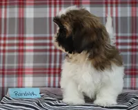 processed/bea8ccef-5e33-4ba5-bd4d-5223c98619e6/listing/9ac46df9-b841-4e6c-9c48-976221192ade/74314084-b7ef-4d0b-bf64-3655b85e2db8