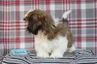 processed/bea8ccef-5e33-4ba5-bd4d-5223c98619e6/listing/9ac46df9-b841-4e6c-9c48-976221192ade/cff3a11c-9cdc-47a8-afee-19828478d7cb