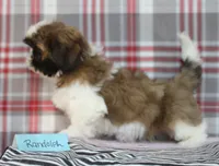 processed/bea8ccef-5e33-4ba5-bd4d-5223c98619e6/listing/9ac46df9-b841-4e6c-9c48-976221192ade/e8e4caa7-ce7b-49f9-85b1-f72f289fb9d3