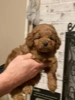 processed/becb1af1-3039-40b5-bdd1-755d747b64ca/facility/0ad61009-08f0-41c9-9b8f-60cb547cc32d