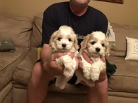 processed/becb1af1-3039-40b5-bdd1-755d747b64ca/facility/29540974-10bb-4b28-956e-d02f9b415189