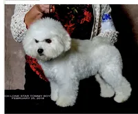 processed/becb1af1-3039-40b5-bdd1-755d747b64ca/facility/31908612-6e86-4c26-9f94-2be0901365de