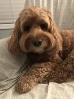 processed/becb1af1-3039-40b5-bdd1-755d747b64ca/facility/8cc68413-cf90-439a-b8c4-987cc0d2b9f1