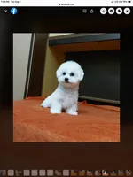 processed/becb1af1-3039-40b5-bdd1-755d747b64ca/facility/8f06e8b0-2109-4898-b3c7-08de89fcf63c