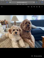 processed/becb1af1-3039-40b5-bdd1-755d747b64ca/facility/9920137b-3644-4b49-a1b5-eb10a0bad600