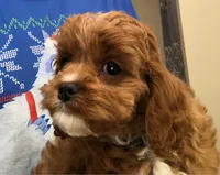 processed/becb1af1-3039-40b5-bdd1-755d747b64ca/facility/eaa7b306-d3a0-458a-a07d-0b9373232767