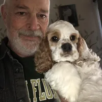 Cockapoo 2 FEMALE, a female Cockapoo for sale in Ocala, FL – Photo 4 of 5