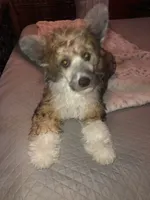 processed/bed1724f-efc5-4a20-8f3e-edd1b6feebb0/listing/53b6df0a-701d-4b57-a712-04a46fca6142/1d5cc7c9-a0a8-4b55-ab0e-68cf25da359d