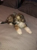 processed/bed1724f-efc5-4a20-8f3e-edd1b6feebb0/listing/53b6df0a-701d-4b57-a712-04a46fca6142/29966f99-a02b-4e35-a958-f6227fea7348