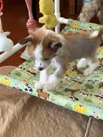 processed/bed1724f-efc5-4a20-8f3e-edd1b6feebb0/listing/5731e023-5aec-46b1-8135-11ecb7f53132/44f6c1ad-bd1a-4b31-ba49-c7078715be70