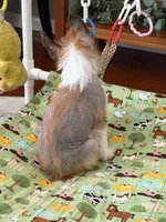 processed/bed1724f-efc5-4a20-8f3e-edd1b6feebb0/listing/5731e023-5aec-46b1-8135-11ecb7f53132/6b2ec2f7-3262-443b-bdef-ea91df309ba0