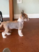 processed/bed1724f-efc5-4a20-8f3e-edd1b6feebb0/listing/5731e023-5aec-46b1-8135-11ecb7f53132/7ae457fa-81e9-4503-8b4c-ab43557700cb