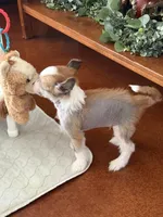 processed/bed1724f-efc5-4a20-8f3e-edd1b6feebb0/listing/5731e023-5aec-46b1-8135-11ecb7f53132/b4daa2c7-cf95-4813-bb02-16c053b4984d