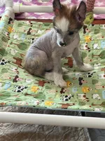 processed/bed1724f-efc5-4a20-8f3e-edd1b6feebb0/listing/8b20262c-95a7-4daa-8496-6d58aac4db4b/1f27f69a-eab0-4f5c-9dad-2244b869d7b2