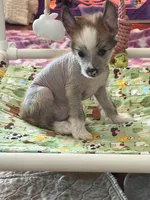 processed/bed1724f-efc5-4a20-8f3e-edd1b6feebb0/listing/8b20262c-95a7-4daa-8496-6d58aac4db4b/9489b0bf-26da-4d66-8c68-718d309e7b2d