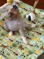 processed/bed1724f-efc5-4a20-8f3e-edd1b6feebb0/listing/8b20262c-95a7-4daa-8496-6d58aac4db4b/eb4d345f-11ee-4cce-aecf-df2230cda104