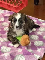 processed/bed1724f-efc5-4a20-8f3e-edd1b6feebb0/listing/afdd90b0-1a37-4a35-a9ea-e08351bf8024/0a8b8665-9231-4894-b5e9-cd3d244a261c