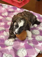 processed/bed1724f-efc5-4a20-8f3e-edd1b6feebb0/listing/afdd90b0-1a37-4a35-a9ea-e08351bf8024/71cde7dd-c9fe-4785-9a75-f5e9d4bdd49a