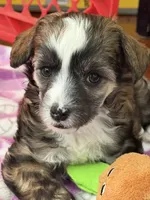 processed/bed1724f-efc5-4a20-8f3e-edd1b6feebb0/listing/afdd90b0-1a37-4a35-a9ea-e08351bf8024/f7d1b23f-14b2-4b90-8e97-2691b65f4e42