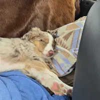 processed/bed7d127-81e5-414b-94be-7973c2da27a5/facility/034517b0-9cf8-4631-9df0-b208dbdf38c4