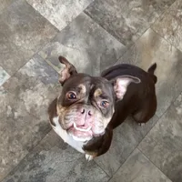 processed/bed7d127-81e5-414b-94be-7973c2da27a5/facility/3055be47-bd5f-40f6-b7aa-bdb45a4b513d