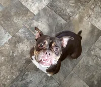 processed/bed7d127-81e5-414b-94be-7973c2da27a5/facility/3055be47-bd5f-40f6-b7aa-bdb45a4b513d