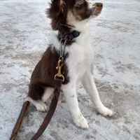 processed/bed7d127-81e5-414b-94be-7973c2da27a5/facility/35775009-743a-4f03-ad85-1dcf7a811644